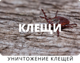 Уничтожение крещей